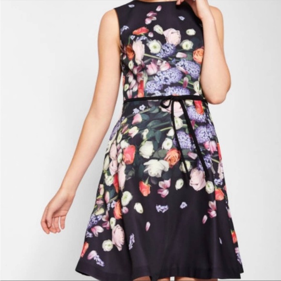 Ted Baker Izobela Kensington Floral Dress, Size 0 - Picture 3 of 4